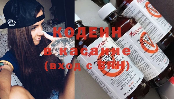 стаф Абаза